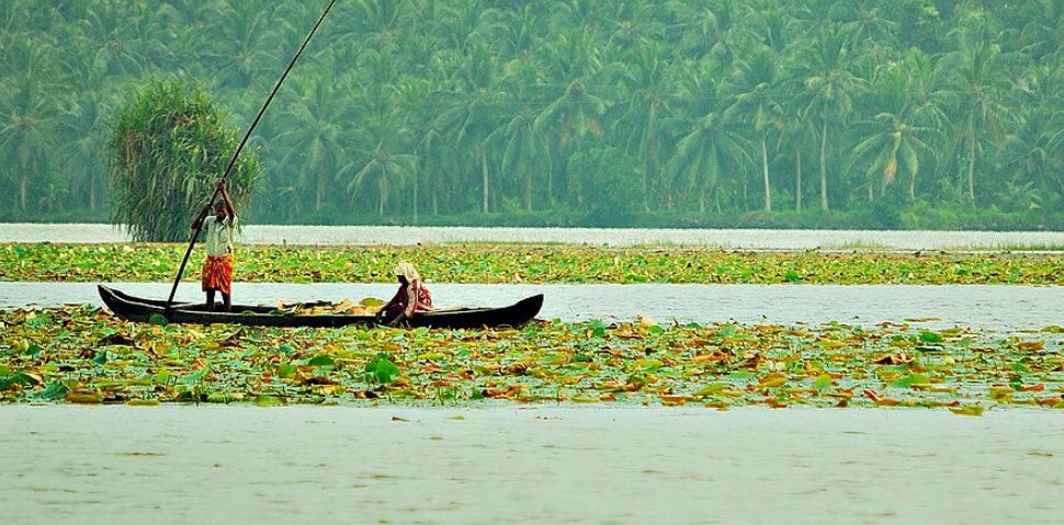 Vellayani Lake, Thiruvananthapuram, Kerala - Vushii.com Vellayani Lake, Thiruvananthapuram, Kerala - Vushii.com